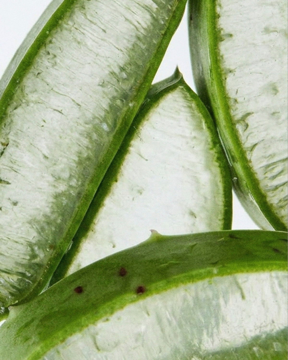 Dos and don'ts in treating dry skin